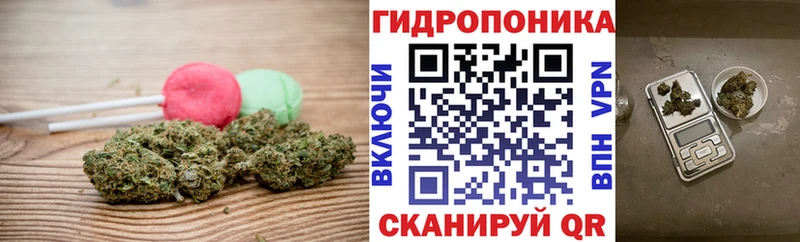 Cannafood марихуана Гурьевск