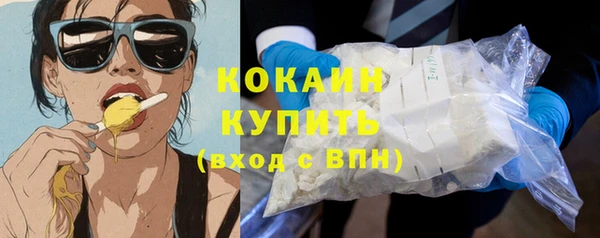 гашик Аркадак