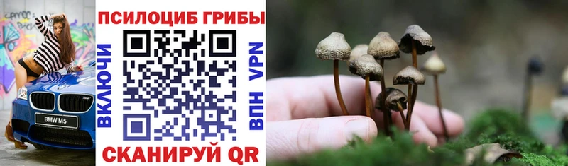 Псилоцибиновые грибы GOLDEN TEACHER  Гурьевск 